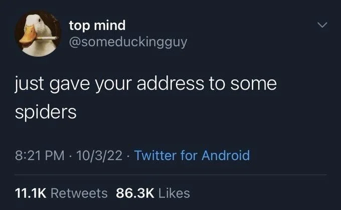 just gave your address to some
spiders