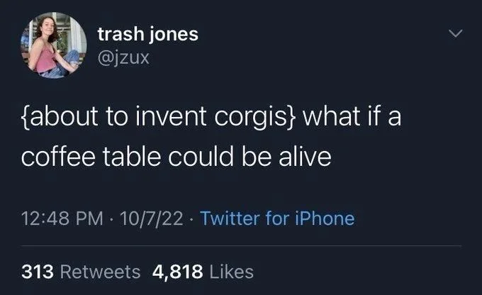 {about to invent corgis} what if a
coffee table could be alive