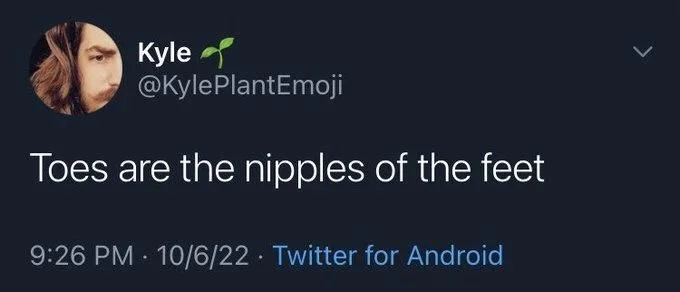 Toes are the nipples of the feet