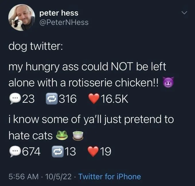 dog twitter:

my hungry ass could NOT be left alone with a rotisserie chicken!!
23 comments
316 retweets 
16.5K likes 

i know some of ya'll just pretend to
hate cats
674 comments 
13 retweets
19 likes