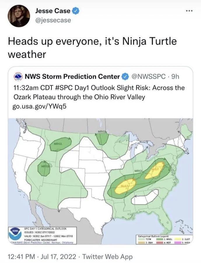 Heads up everyone, it's Ninja Turtle
weather

(Weather map with patterns that look like a smiling ninja turtle)