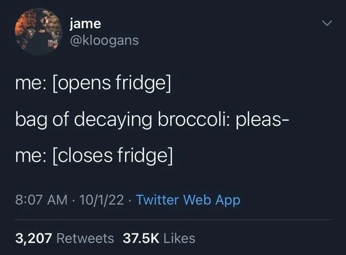 me: [opens fridge]
bag of decaying broccoli: pleas-
me: [closes fridge]