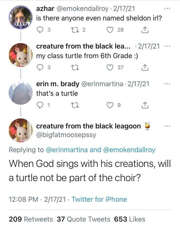 @emokendallroy 
is there anyone even named sheldon irl?




@bigfatmoosepssy
 my class turtle from 6th Grade :)




@erinmartina
that's a turtle




@bigfatmoosepssy
When God sings with his creations, will a turtle not be part of the choir?