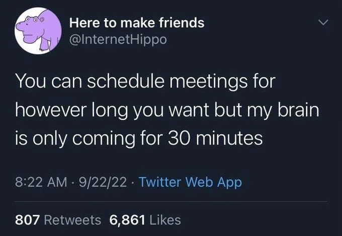 You can schedule meetings for however long you want but my brain is only coming for 30 minutes