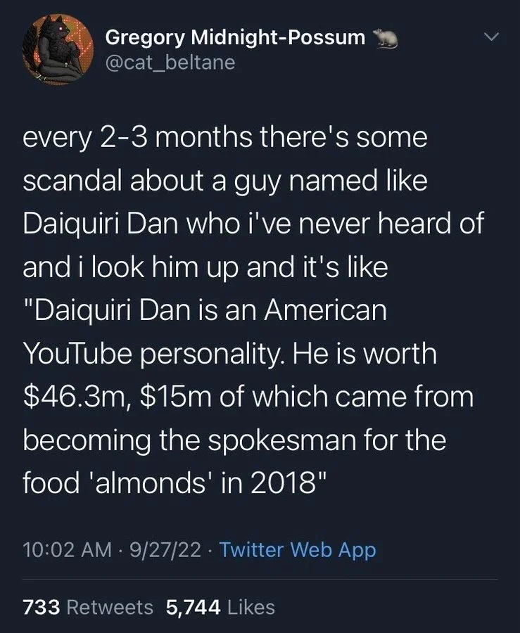 every 2-3 months there's some
scandal about a guy named like Daiquiri Dan who i've never heard of and i look him up and it's like "Daiquiri Dan is an American
YouTube personality. He is worth $46.3m, $15m of which came from becoming the spokesman for the food 'almonds' in 2018"