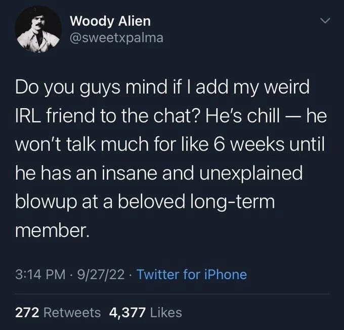 Do you guys mind if I add my weird IRL friend to the chat? He's chill — he won't talk much for like 6 weeks until he has an insane and unexplained blowup at a beloved long-term member.
