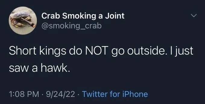 Short kings do NOT go outside. I just
saw a hawk.