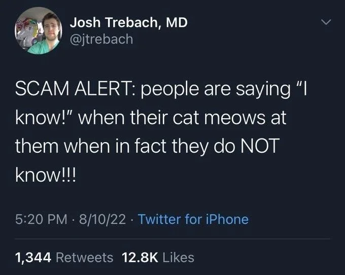 SCAM ALERT: people are saying "I
know!" when their cat meows at
them when in fact they do NOT know!!!