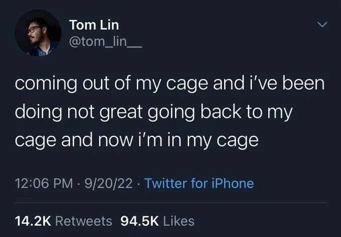 coming out of my cage and i've been doing not great going back to my cage and now i'm in my cage