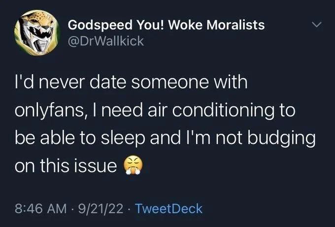 I'd never date someone with
onlyfans, I need air conditioning to be able to sleep and I'm not budging on this issue