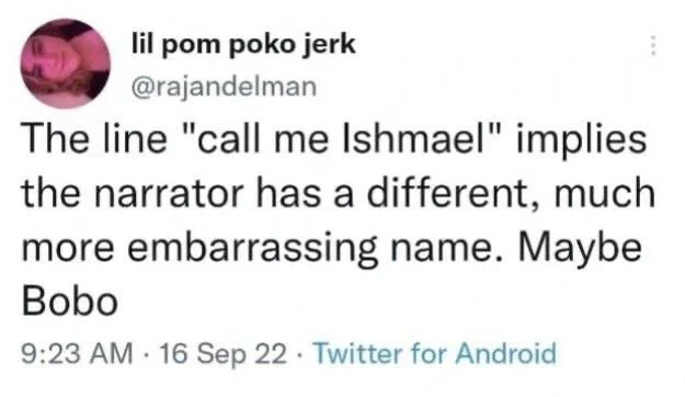 The line "call me Ishmael" implies the narrator has a different, much more embarrassing name. Maybe Bobo