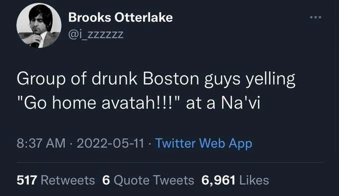 Group of drunk Boston guys yelling "Go home avatah!!!" at a Na'vi