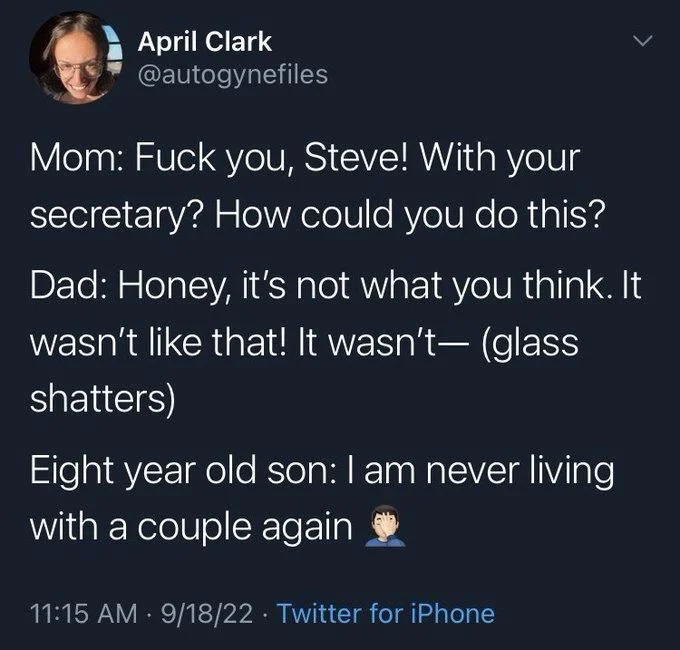 Mom: Fuck you, Steve! With your secretary? How could you do this?
Dad: Honey, it's not what you think. It wasn't like that! It wasn't- (glass shatters)
Eight year old son: I am never living with a couple again