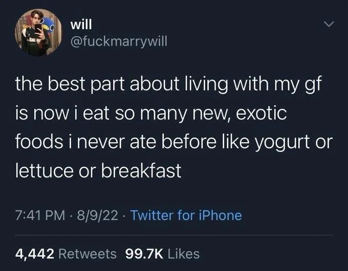 the best part about living with my gf is now i eat so many new, exotic foods i never ate before like yogurt or
lettuce or breakfast