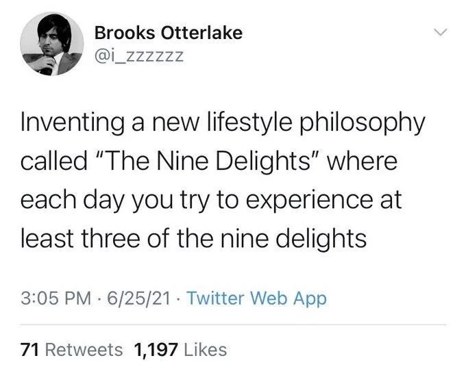Inventing a new lifestyle philosophy called "The Nine Delights" where each day you try to experience at least three of the nine delights