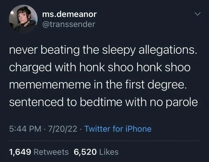 never beating the sleepy allegations. charged with honk shoo honk shoo mememememe in the first degree. sentenced to bedtime with no parole