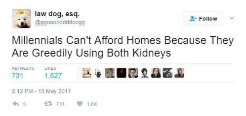 Millennials Can't Afford Homes Because They Are Greedily Using Both Kidneys