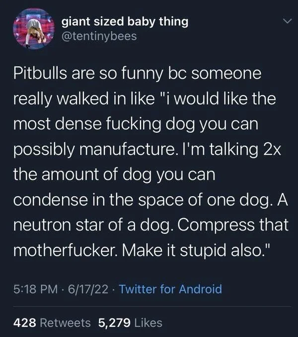 Pitbulls are so funny bc someone really walked in like "i would like the most dense fucking dog you can possibly manufacture. I'm talking 2x the amount of dog you can condense in the space of one dog. A neutron star of a dog. Compress that motherfucker. Make it stupid also."