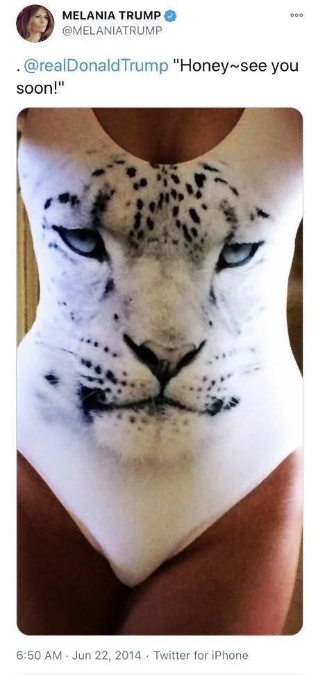 .@realDonaldTrump "Honey~see you
soon!"

(Photo of her torso in a one piece bathing suit with a snow leopard’s bored face on it)

Jun 22, 2014