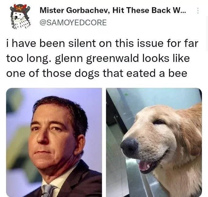 i have been silent on this issue for far too long. glenn greenwald looks like one of those dogs that eated a bee

(two photos side by side illustrating the resemblance)