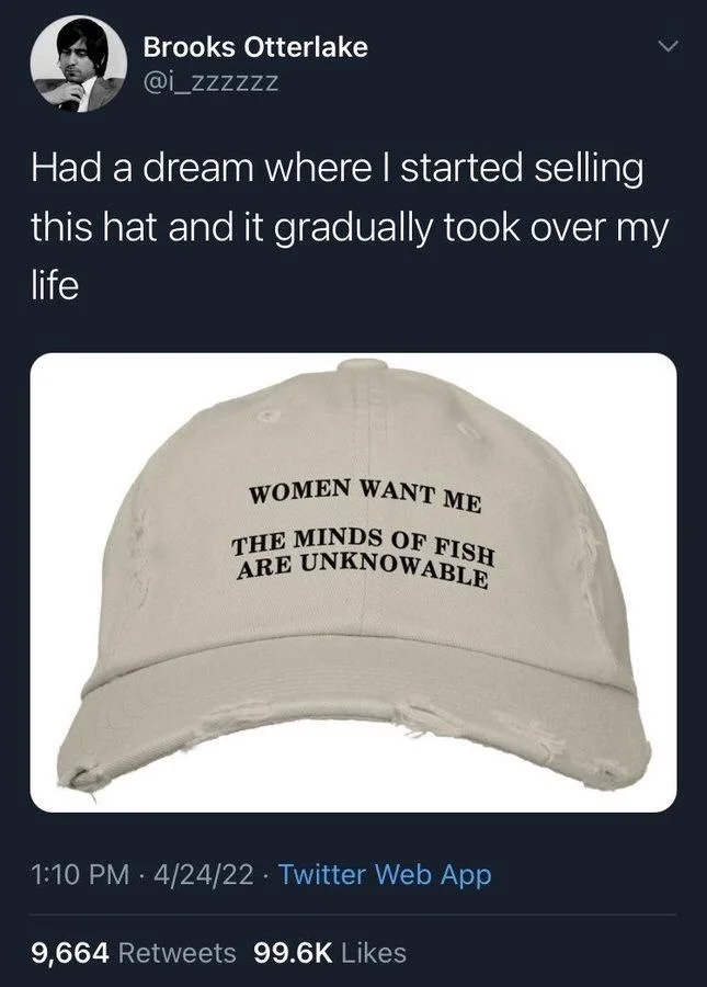 Had a dream where I started selling this hat and it gradually took over my
life

(Photo of hat reading…)

WOMEN WANT ME
THE MINDS OF FISH ARE UNKNOWABLE