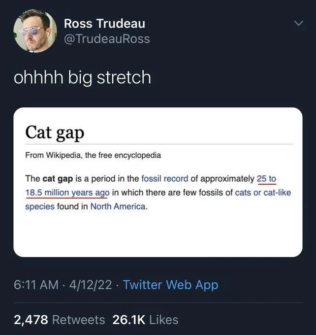ohhhh big stretch

(Screenshot: Wikipedia Page)

Cat gap
From Wikipedia, the free encyclopedia
The cat gap is a period in the fossil record of approximately 25 to 18.5 million years ago in which there are few fossils of cats or cat-like species found in North America.