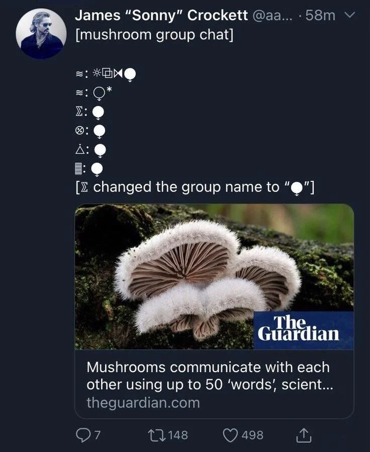 The Guardian
Mushrooms communicate with each other using up to 50 'words', scientists say


James "Sonny" Crockett @aa... . 58m [mushroom group chat]
Σ: (misspelled symbol) 
Σ: (corrected symbol)
Ø: (misspelled symbol) 
Δ: (misspelled symbol) 
[ changed the group name to (misspelled symbol)]