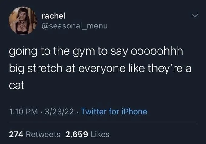 going to the gym to say ooooohhh
big stretch at everyone like they're a
cat