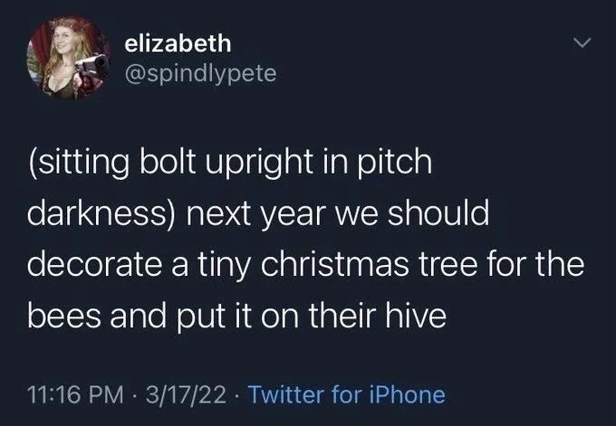 (sitting bolt upright in pitch darkness) next year we should decorate a tiny christmas tree for the bees and put it on their hive