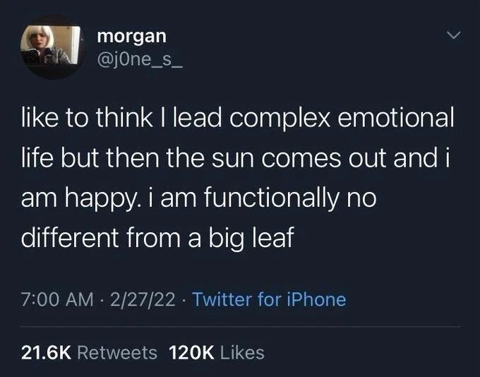 like to think I lead complex a emotional life but then the sun comes out and i am happy. i am functionally no
different from a big leaf