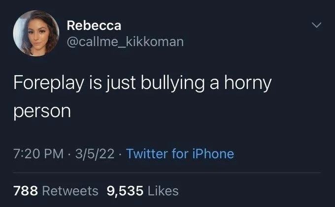 Foreplay is just bullying a horny
person