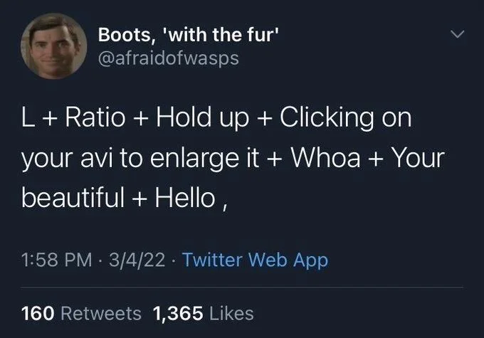 L + Ratio + Hold up + Clicking on
your avi to enlarge it + Whoa + Your beautiful + Hello,