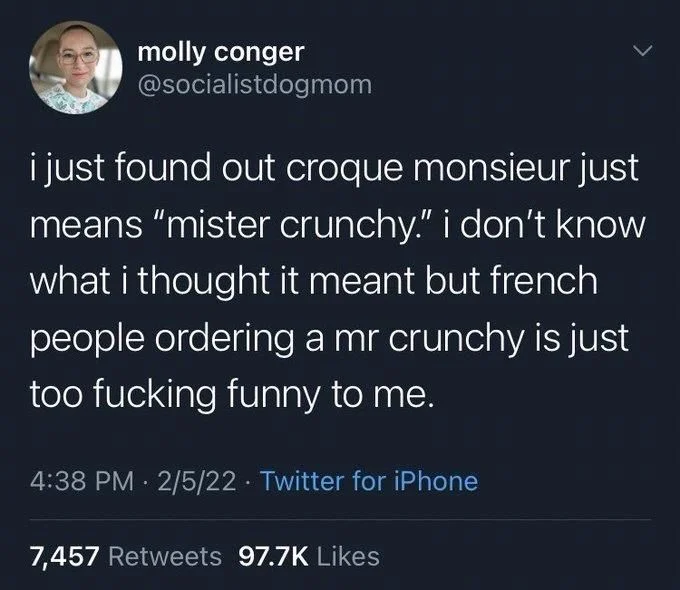 i just found out croque monsieur just means "mister crunchy." i don't know what i thought it meant but french people ordering a mr crunchy is just too fucking funny to me.