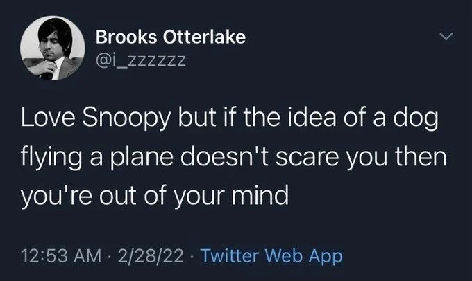 Love Snoopy but if the idea of a dog flying a plane doesn't scare you then you're out of your mind