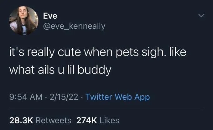 it's really cute when pets sigh. like what ails u lil buddy