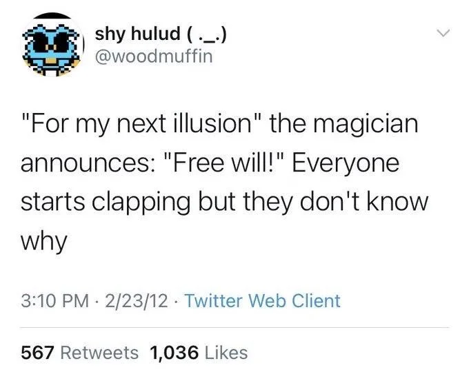 "For my next illusion" the magician announces: "Free will!" Everyone starts clapping but they don't know
why