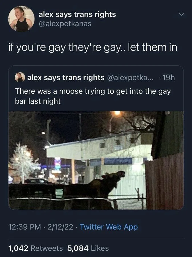 ... · 19h There was a moose trying to get into the gay bar last night

(Photo of the same)

alex says trans rights @alexpetkanas
if you're gay they're gay.. let them in