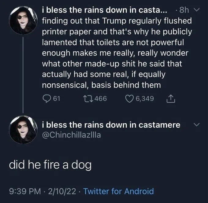 i bless the rains down in casta.... 8h finding out that Trump regularly flushed printer paper and that's why he publicly lamented that toilets are not powerful enough makes me really, really wonder what other made-up shit he said that actually had some real, if equally nonsensical, basis behind them


i bless the rains down in castamere @Chinchillazilla
did he fire a dog

2/10/22