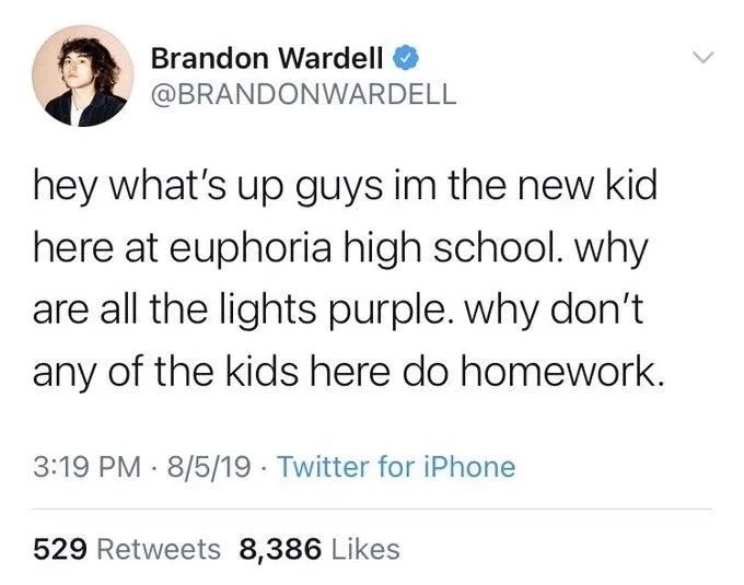 hey what's up guys im the new kid here at euphoria high school. why are all the lights purple. why don't any of the kids here do homework.