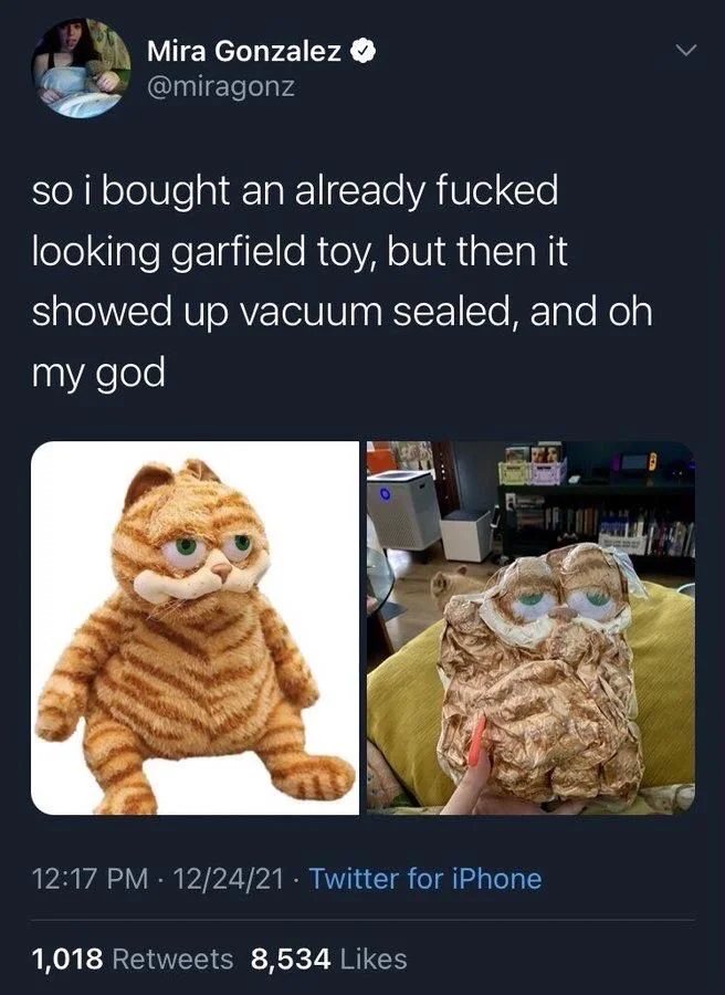 so i bought an already fucked looking garfield toy, but then it showed up vacuum sealed, and oh my god

(Photo: a supremely mashed and awful looking off brand Garfield plush)