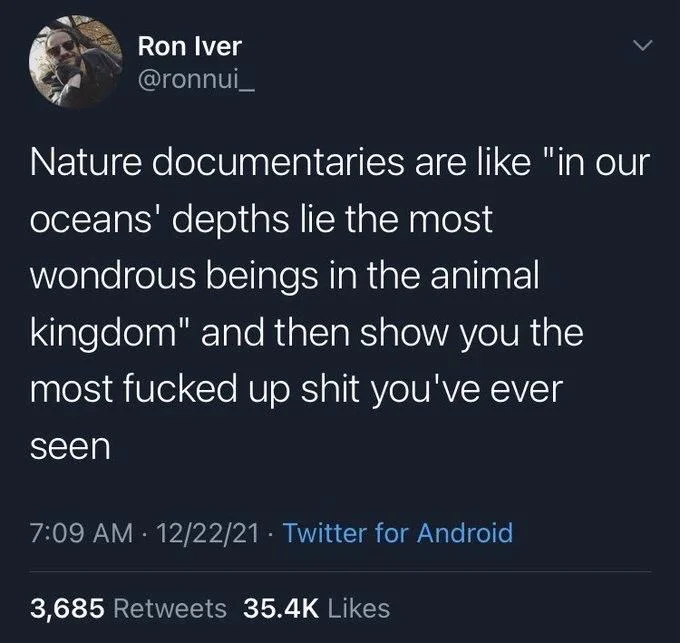 Nature documentaries are like "in our
oceans' depths lie the most wondrous beings in the animal kingdom" and then show you the most fucked up shit you've ever
seen