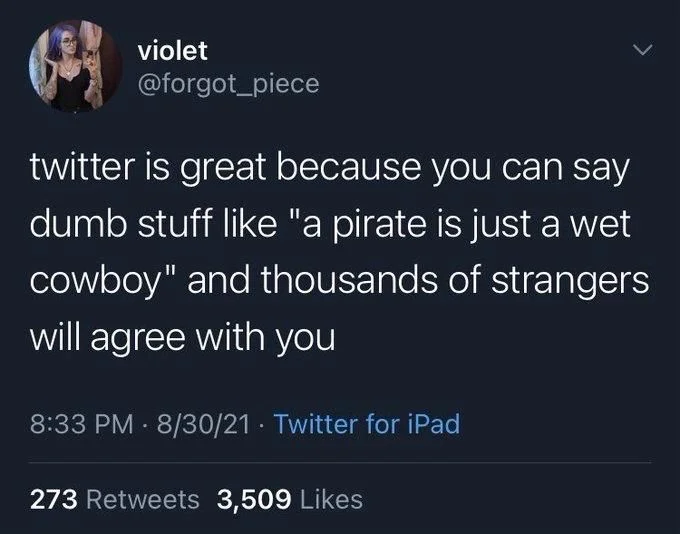 twitter is great because you can say dumb stuff like "a pirate is just a wet cowboy" and thousands of strangers will agree with you