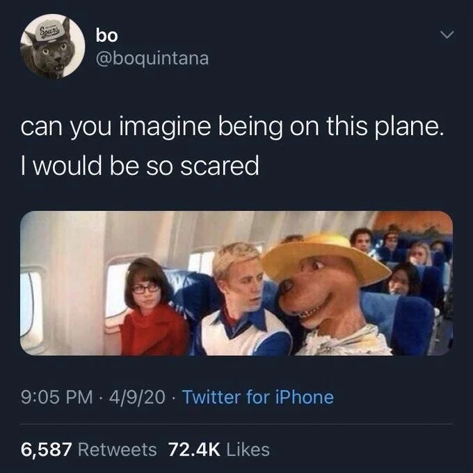can you imagine being on this plane.
I would be so scared

(Photo of Scooby doo in disguise on a plane)
