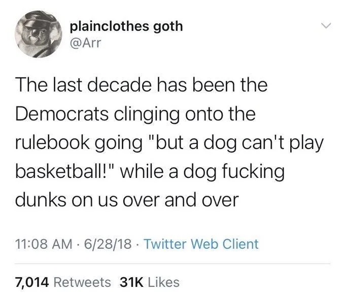 The last decade has been the
Democrats clinging onto the rulebook going "but a dog can't play basketball!" while a dog fucking
dunks on us over and over