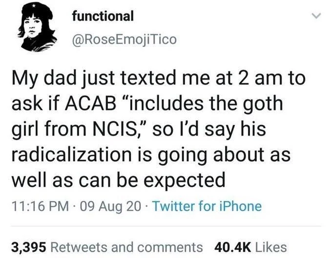 Tico
My dad just texted me at 2 am to ask if ACAB "includes the goth girl from NCIS," so I'd say his radicalization is going about as well as can be expected