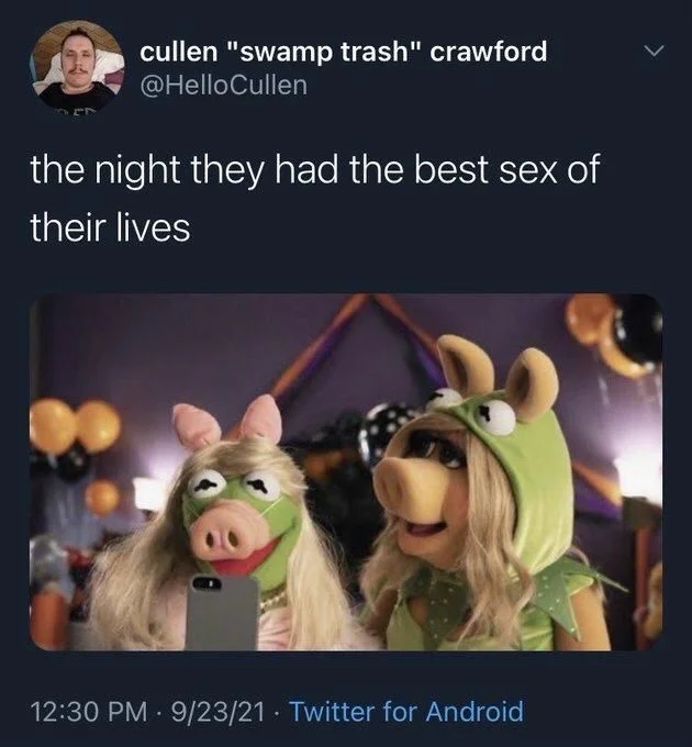 the night they had the best sex of
their lives

(Kermit in a miss piggy costume and vice versa)
