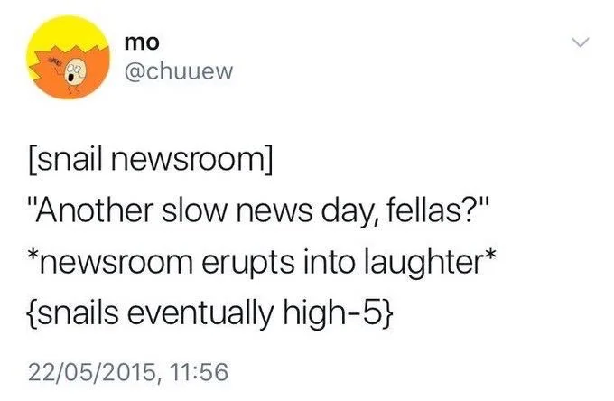 [snail newsroom]
"Another slow news day, fellas?" *newsroom erupts into laughter*
{snails eventually high-5}
