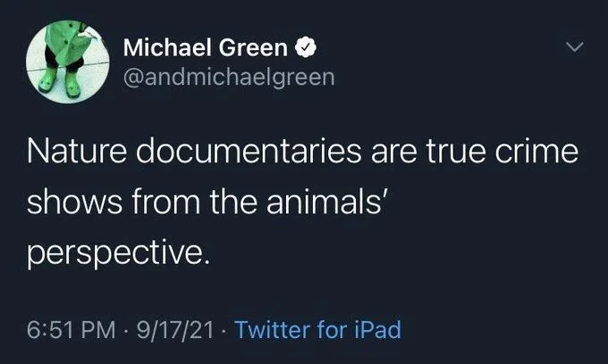 Nature documentaries are true crime
shows from the animals'
perspective.