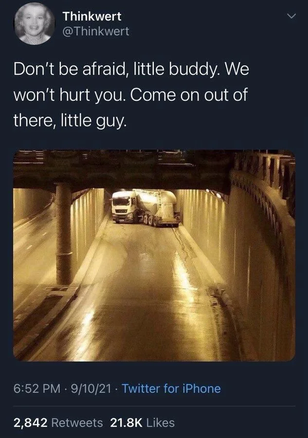 Don't be afraid, little buddy. We won't hurt you. Come on out of there, little guy.

(Photo of truck stuck in a tunnel with posture that looks like a scared cat or puppy)