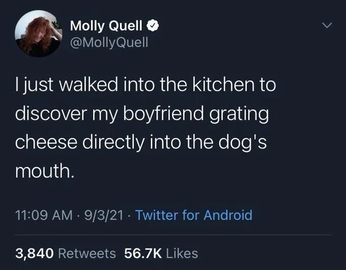 I just walked into the kitchen to
discover my boyfriend grating
cheese directly into the dog's
mouth.